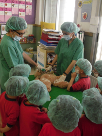 Taller de medicina de l'Hospital Ossets de Peluix a Alcover