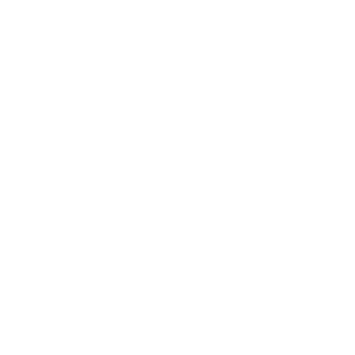 Logo ACEBA